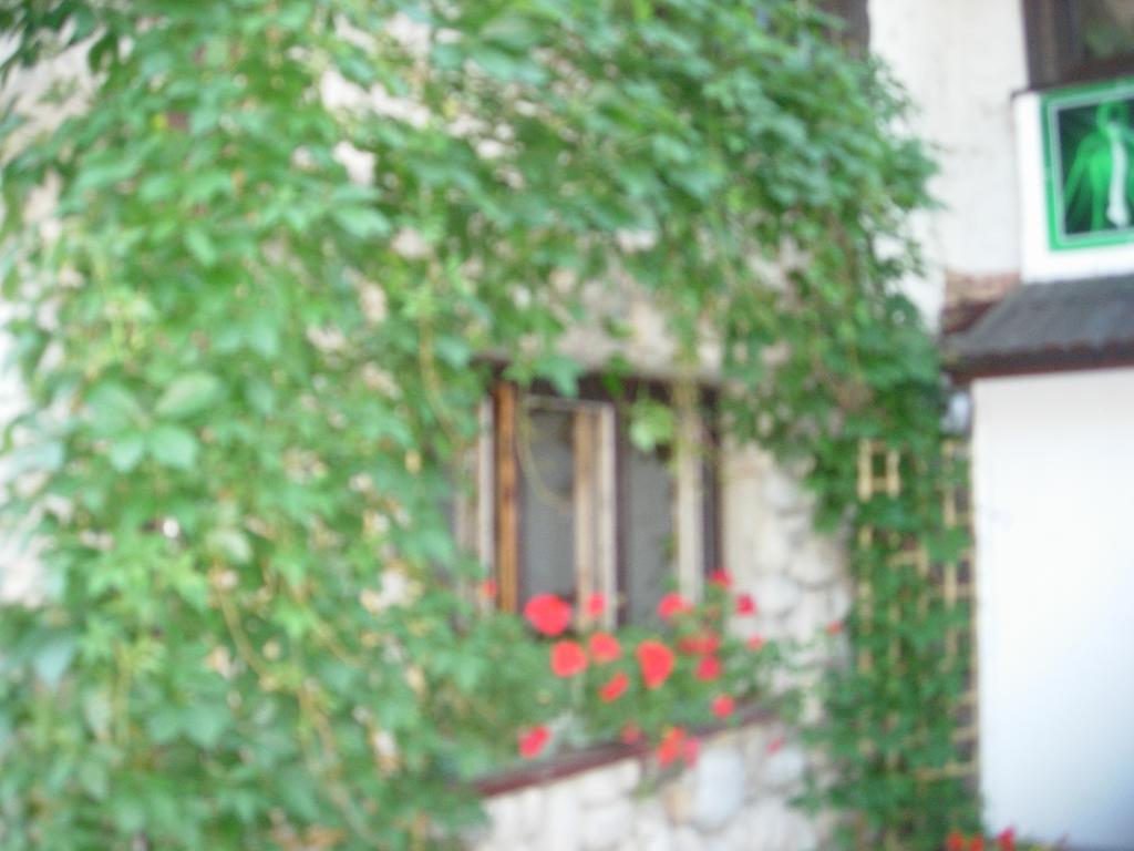Pokoje Goscinne Koscielisko Az Somatic Exterior foto